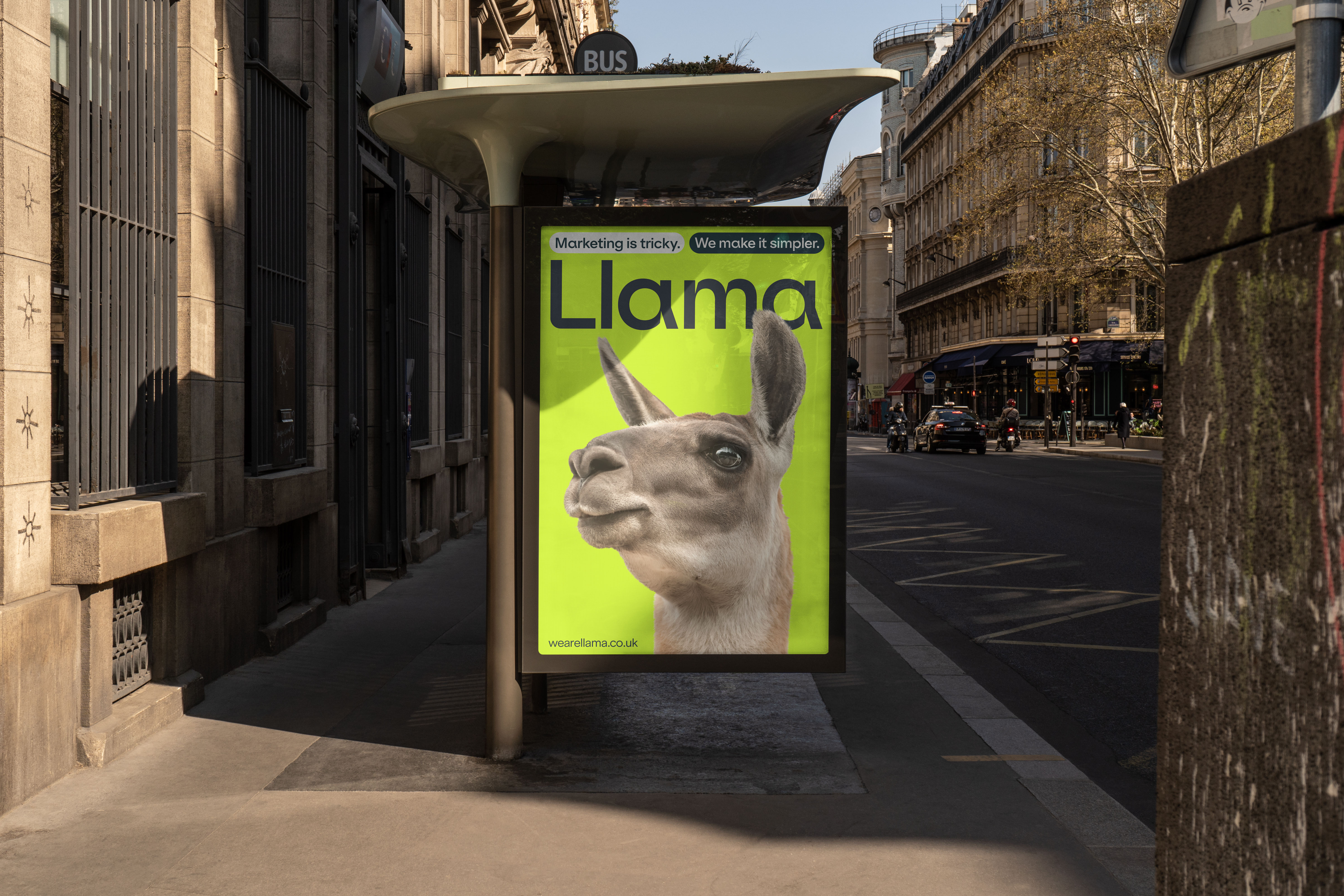 A_Llama_Portrait_Billboard_02